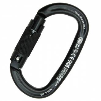 Twist-lock oval-shaped carabiner