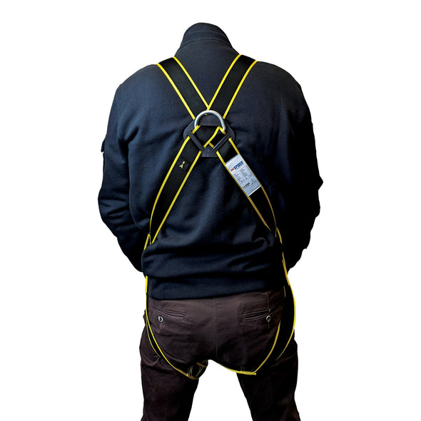 Harness with 2 attachment points