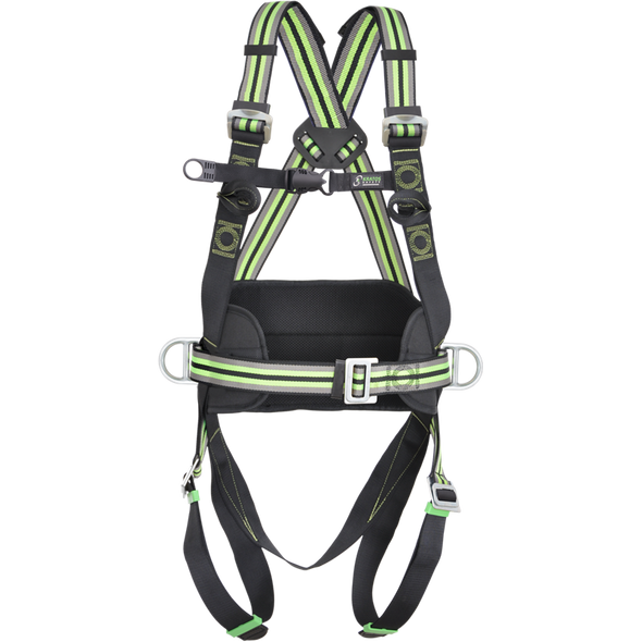 2-point harness with positioning belt