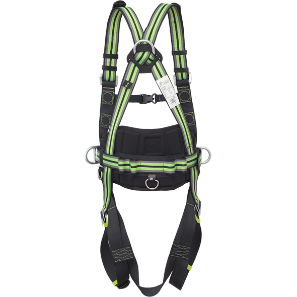 2-point harness with positioning belt